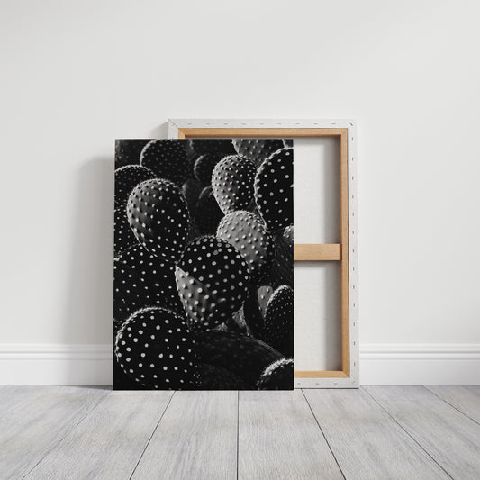 Desert Geometry in Monochrome
