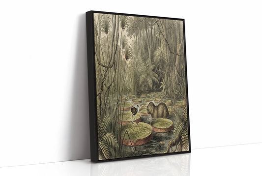 Lily Pad Neighbors
