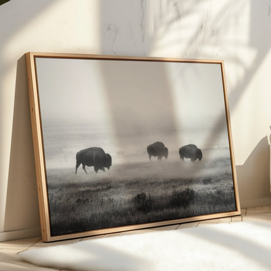 Framed artwork of three bison in a misty field on a wall in a room with sunlight filtering through.