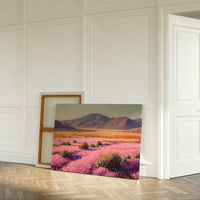 Desert Blooms Paint Mountain Dreams