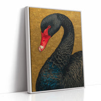 The Black Swan Knows Her Worth