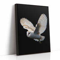 Silent Flight Against Darkness