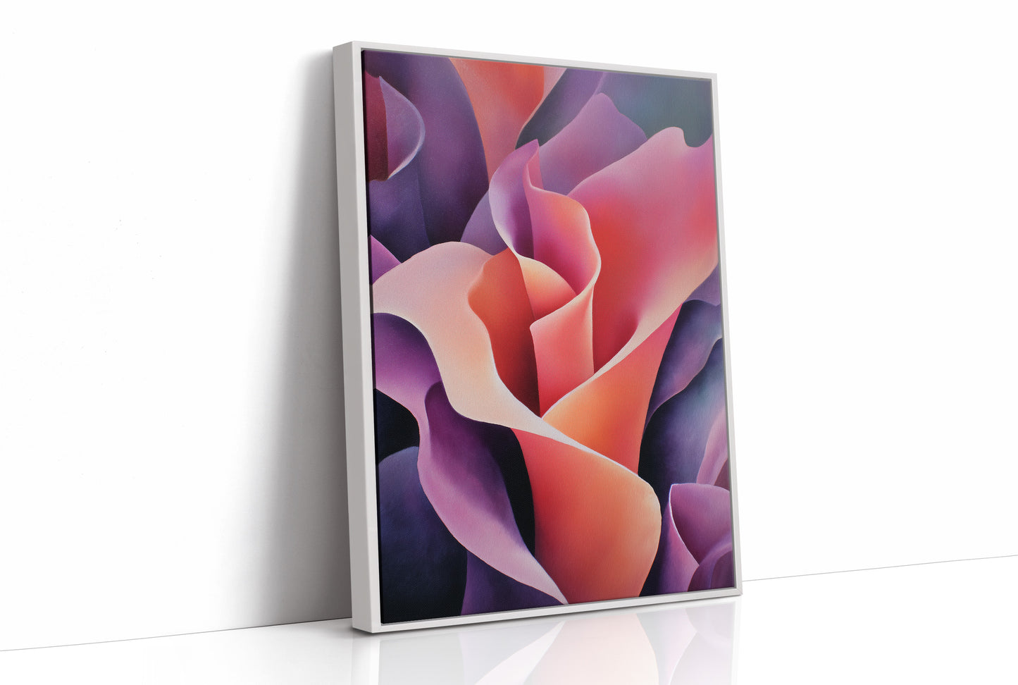 Petals in Velvet Light