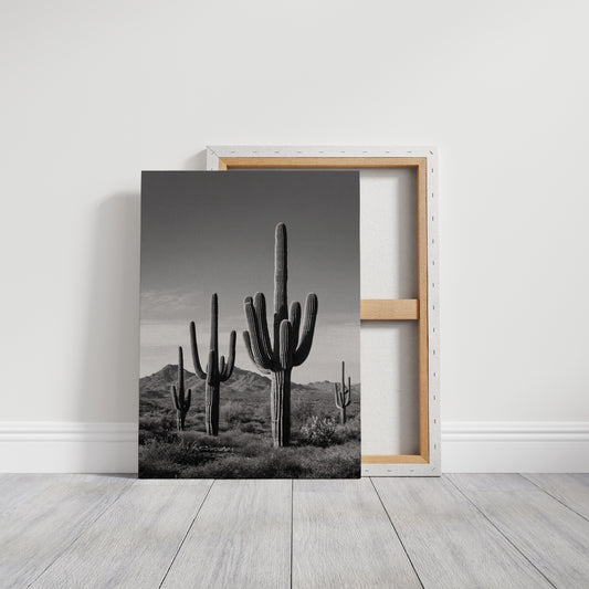 Desert Guardians