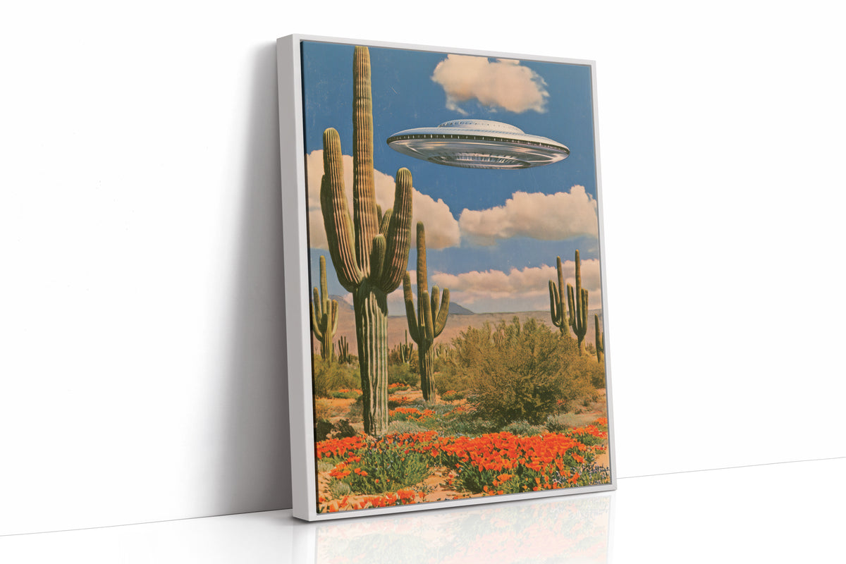 Sightings Over the Sonoran