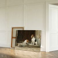 Terriers Guard Their Ancient Step