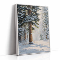 Snow Dusts Ancient Forest Paths