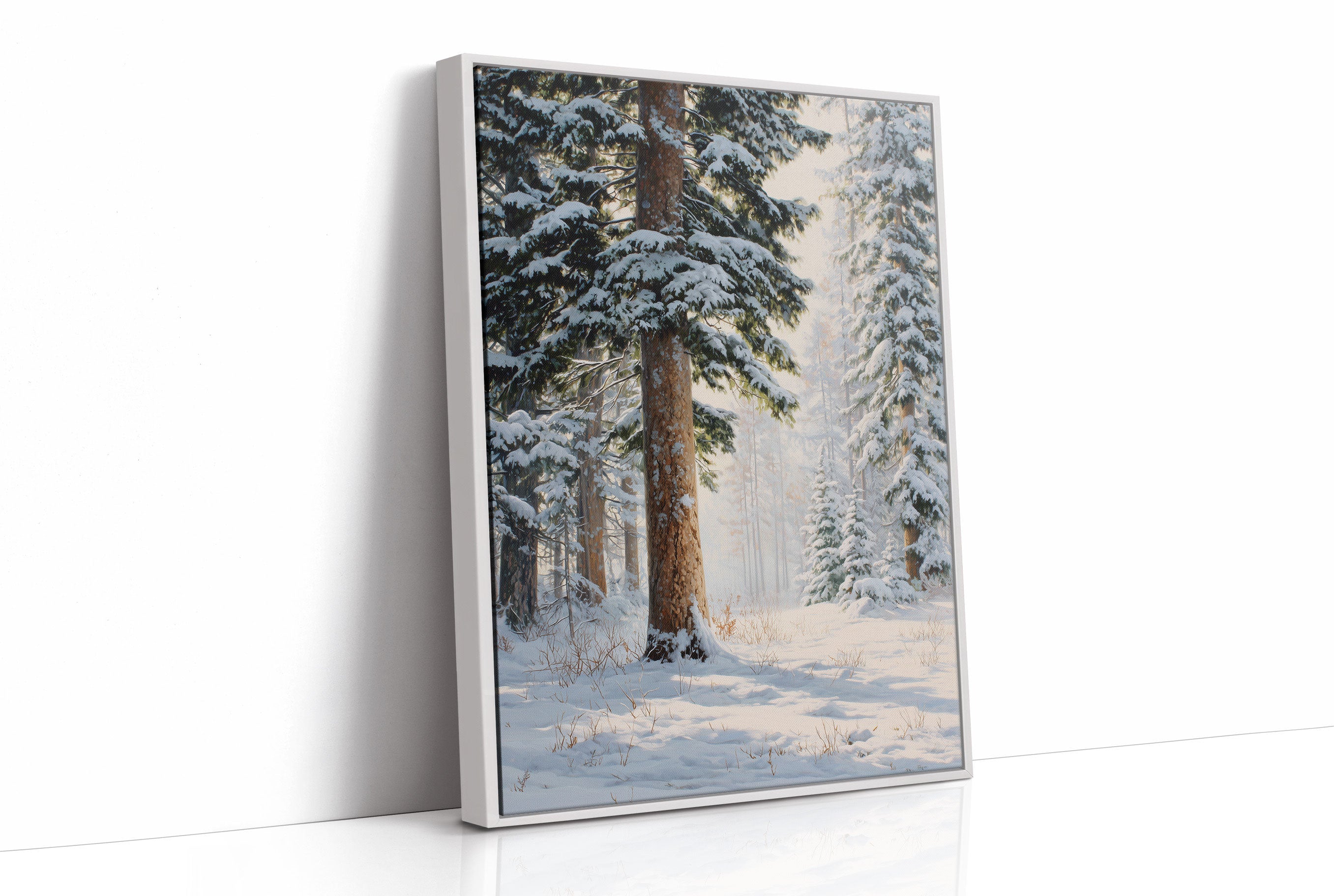 Snow Dusts Ancient Forest Paths