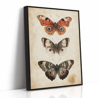 A Tapestry of Winged Wonders