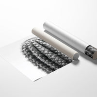 Spines Dance In Silver Light