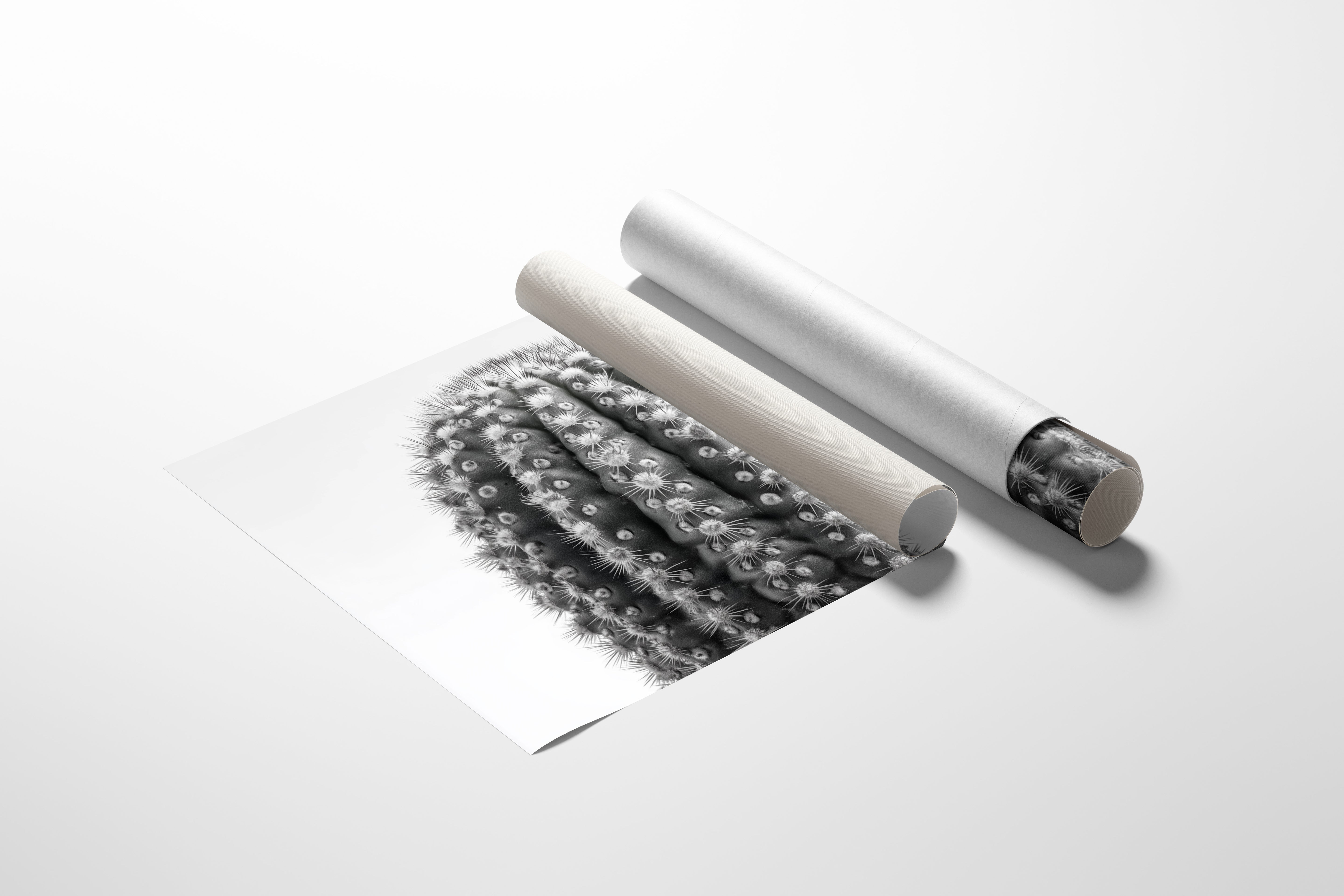 Spines Dance In Silver Light