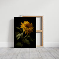 Golden Bloom Against Midnight Walls