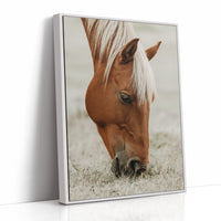 Quiet Morning Graze with Golden Mane