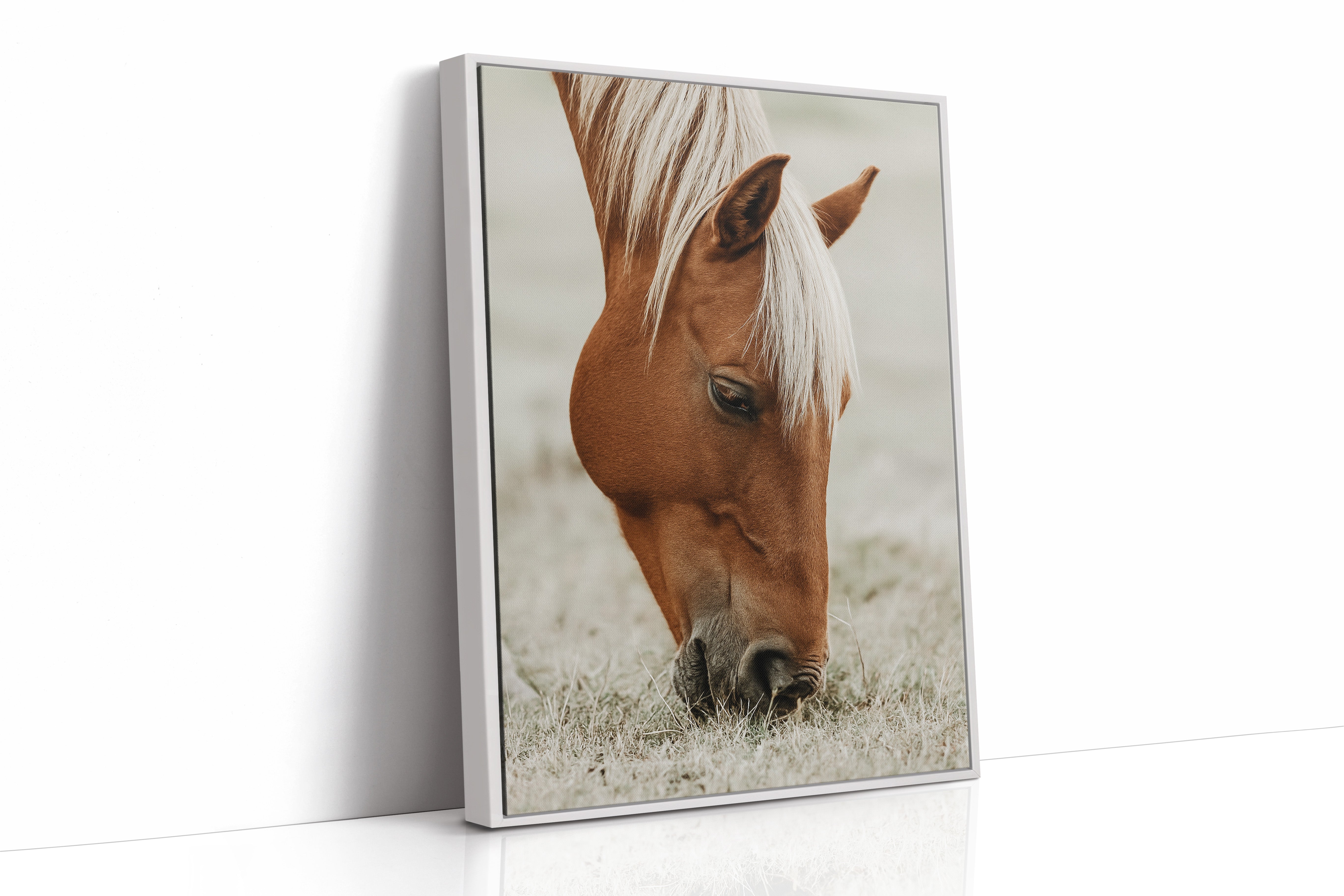 Quiet Morning Graze with Golden Mane