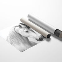 Gentle Souls Share Morning Light