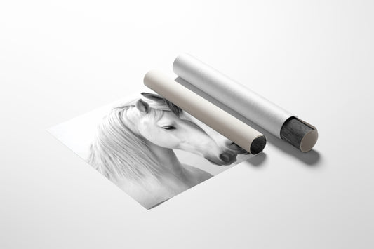 Gentle Souls Share Morning Light