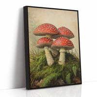 Crimson Mushrooms Emerge
