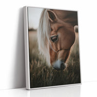 Golden Dusk and Gentle Eyes