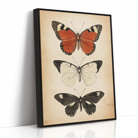 Flight Through Timeless Patterns