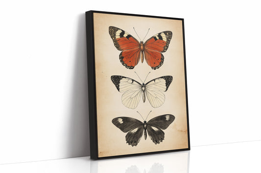 Flight Through Timeless Patterns