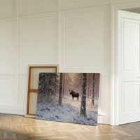 Winter's Light Finds Northern King