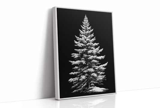 Silent Pine Stands In Midnight