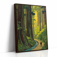 Wanderer Among Ancient Forest Giants