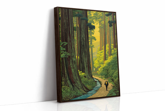 Wanderer Among Ancient Forest Giants