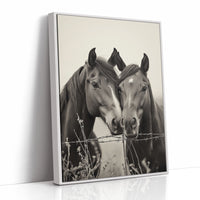 Close Companions at the Fence Line