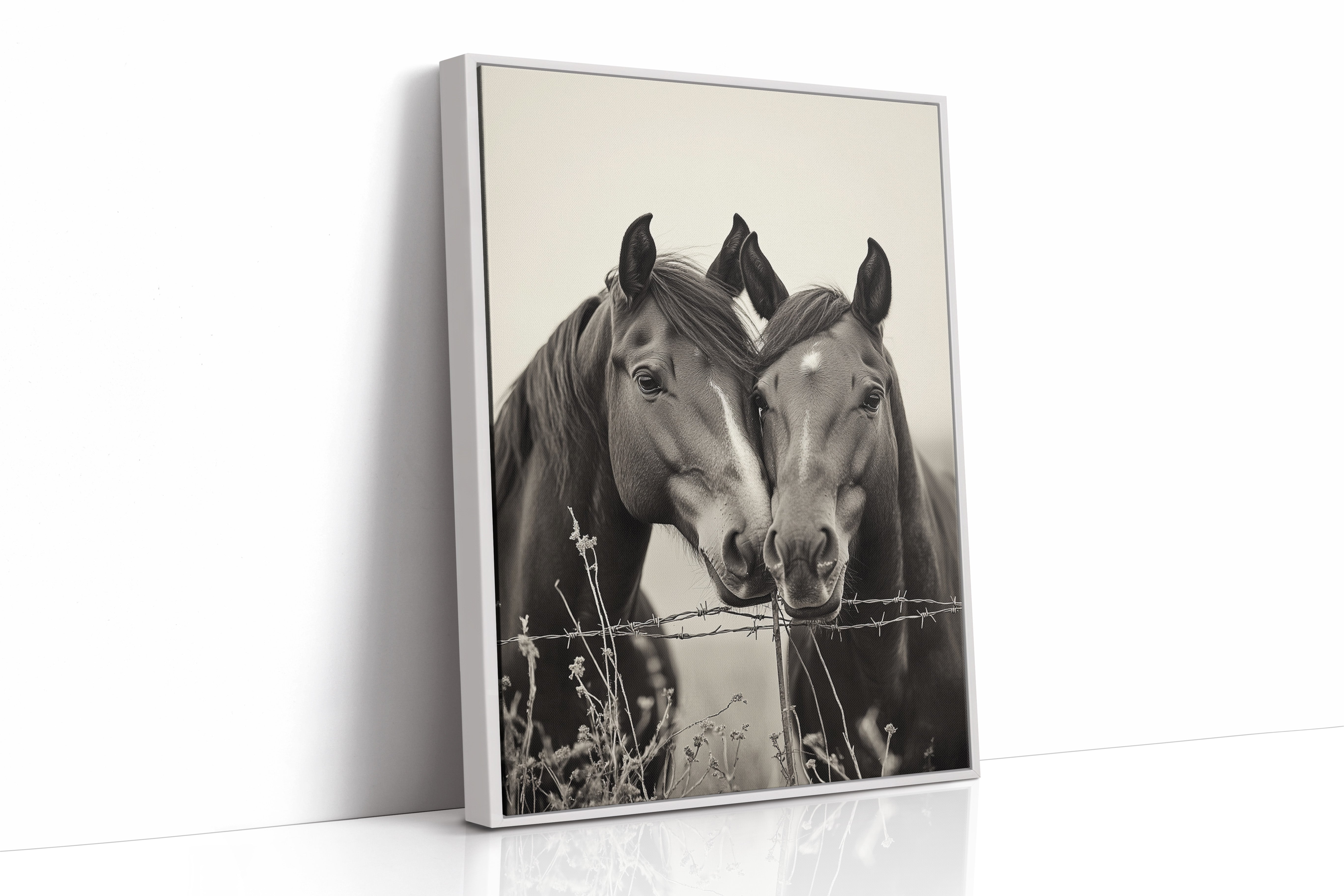 Close Companions at the Fence Line