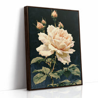 Peach Rose in Midnight