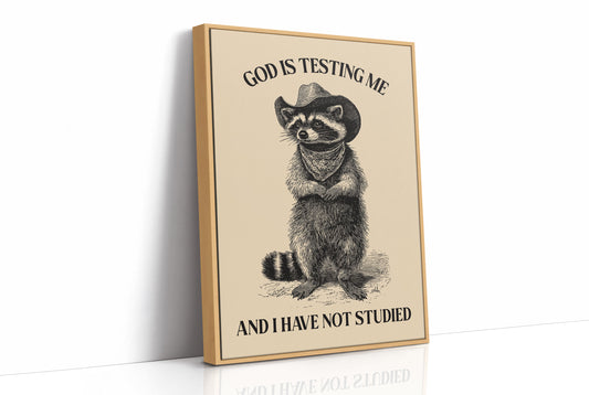 God Is Testing Me Raccoon
