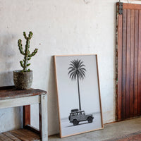 Palm Tree and Beach Cruiser Still Life