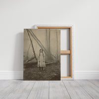 Between Fog And Fallen Trees