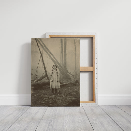 Between Fog And Fallen Trees