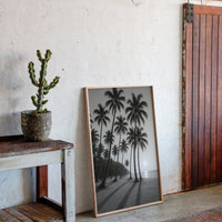 Palm Shadows at Sunrise