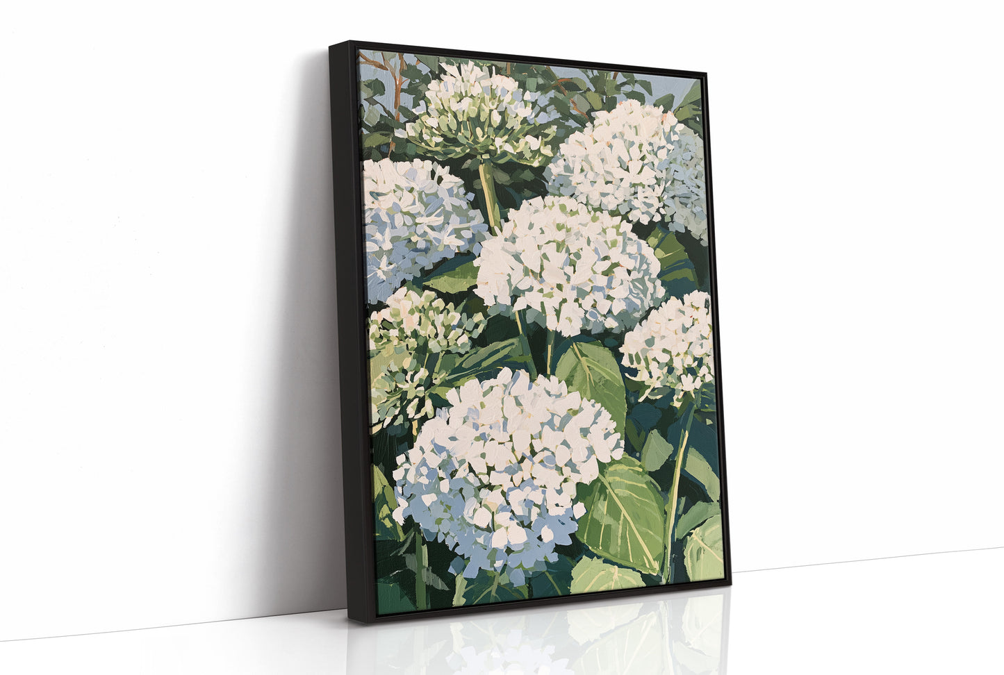 Hydrangea Garden In Full Bloom