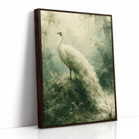 White Peacock in the Mist