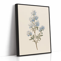Lilac Blossom On Cream