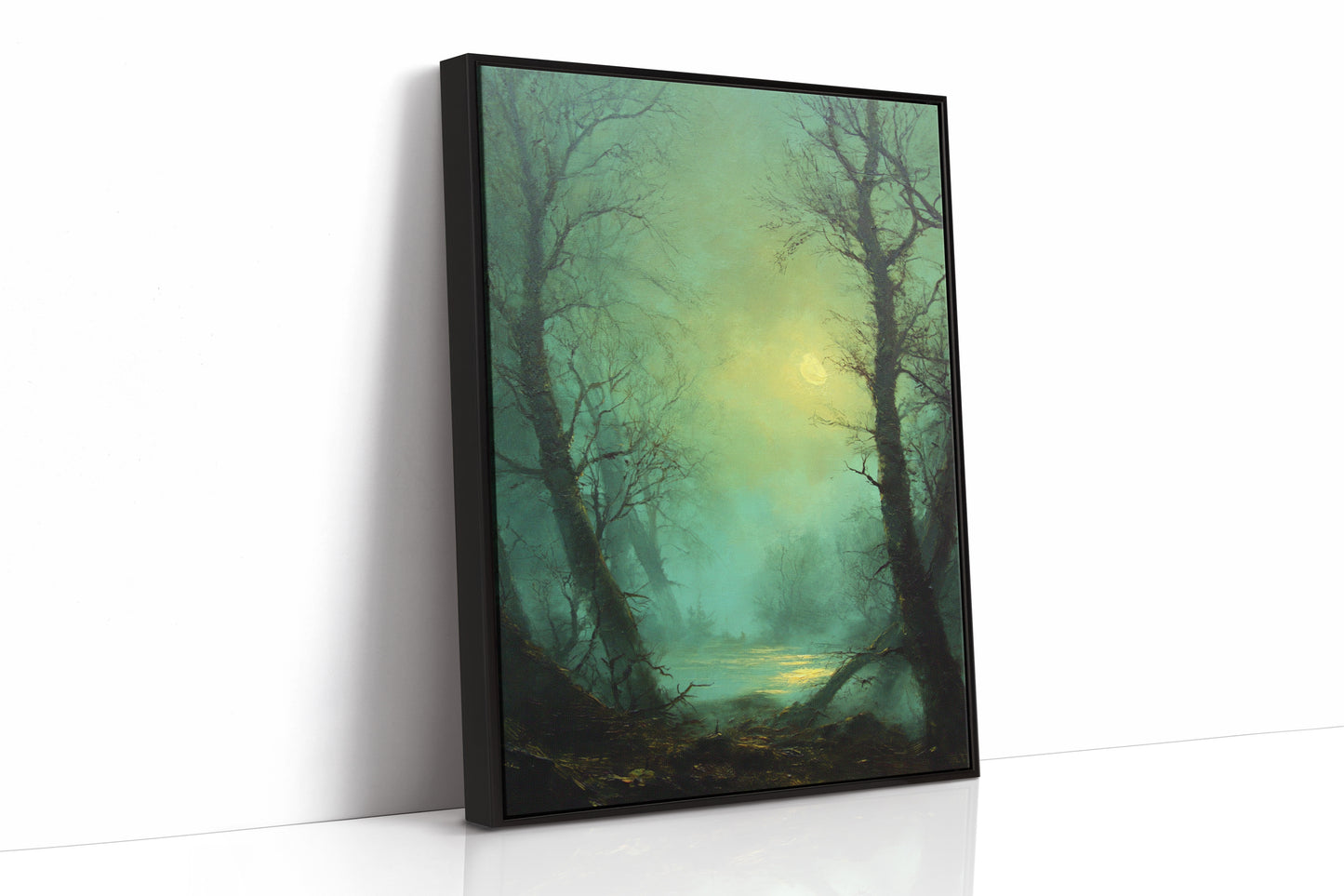 Where Light Meets the Forgotten