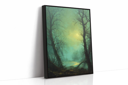 Where Light Meets the Forgotten