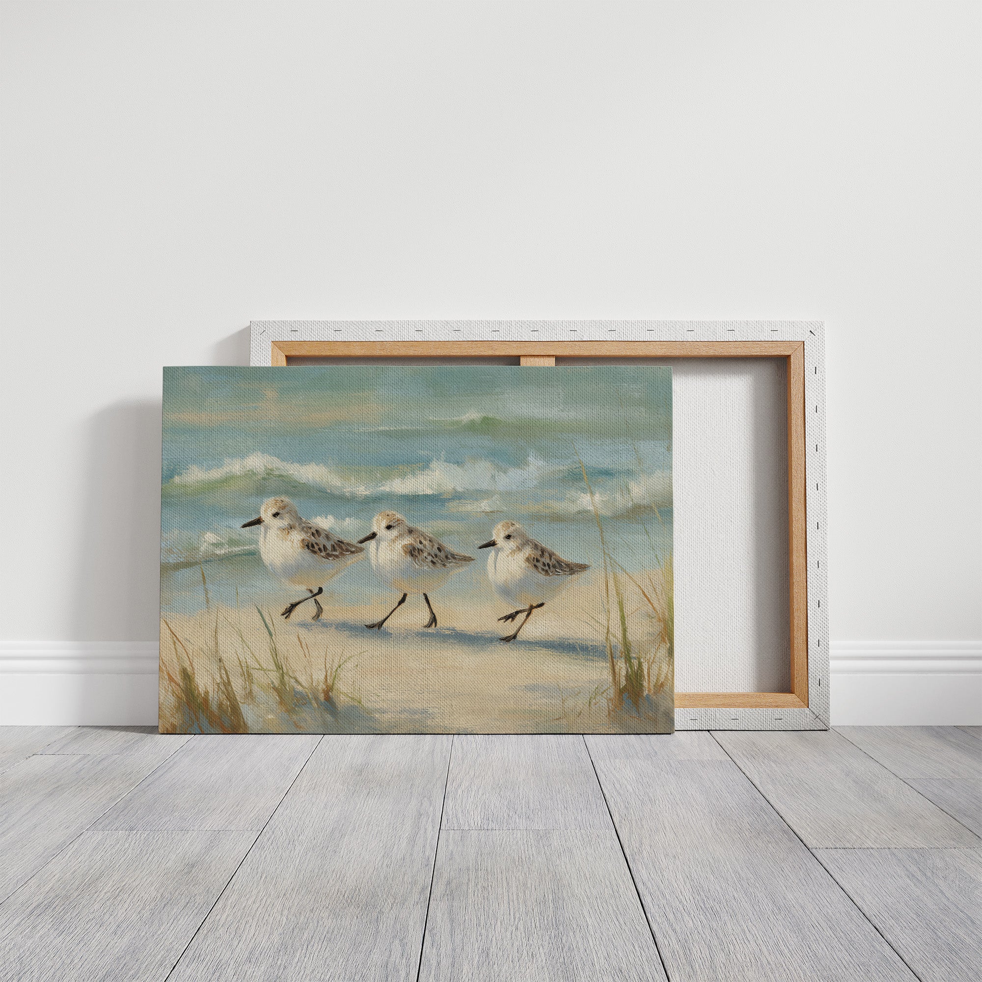 Sandpipers Dance Along Tidal Edge