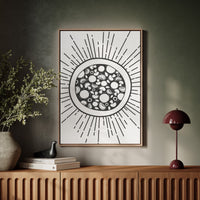 Summer Circles Shine Like Midday Stars