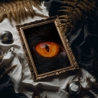 What the Cat's Eye Saw