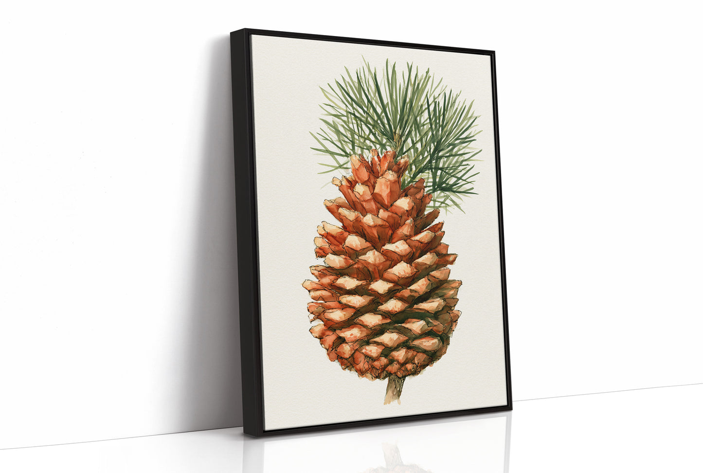 Pinecone Study No. 1