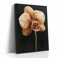 Orchid Stem in the Dark
