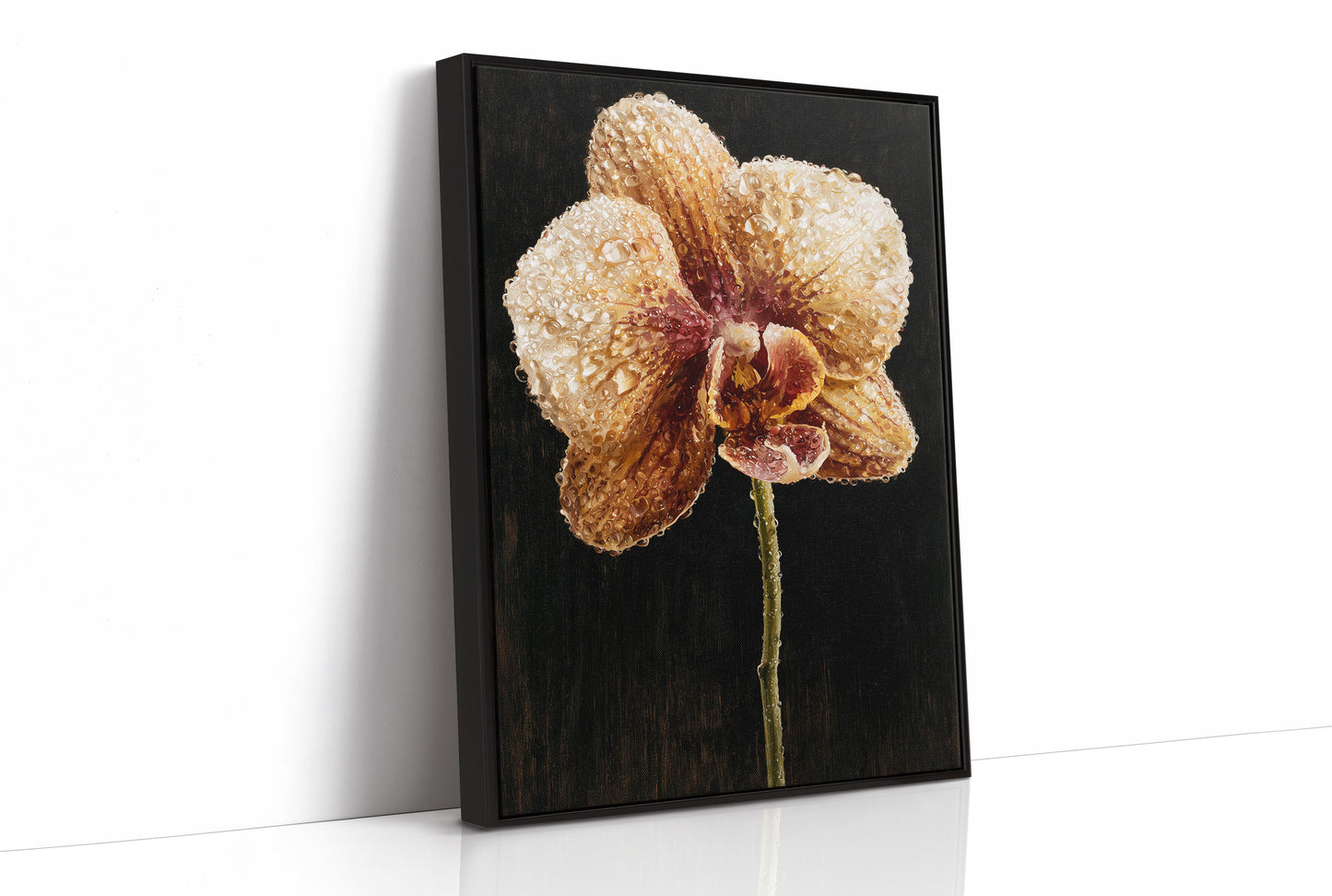 Orchid Stem in the Dark