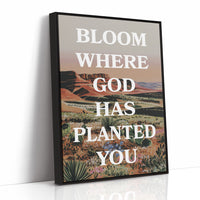 Where The Desert Learns Your Name
