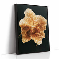 Petals Weeping Gold