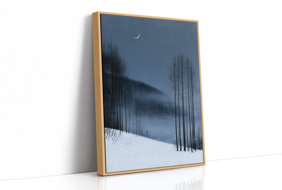 Crescent Moon Over Snowfall
